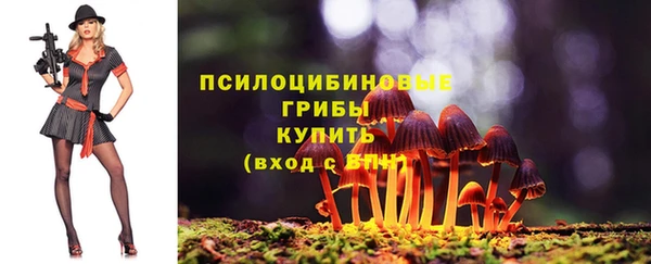 твердый Белокуриха