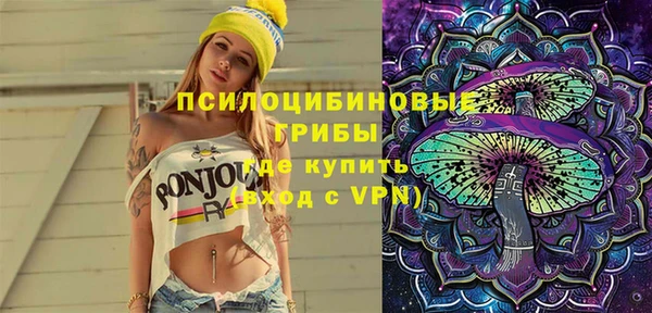 марки lsd Богданович