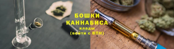 индика Беломорск