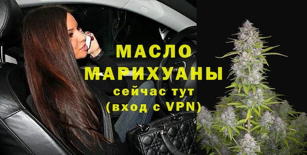индика Беломорск