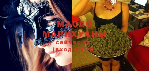 индика Беломорск