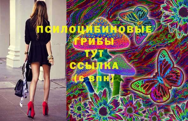 индика Беломорск