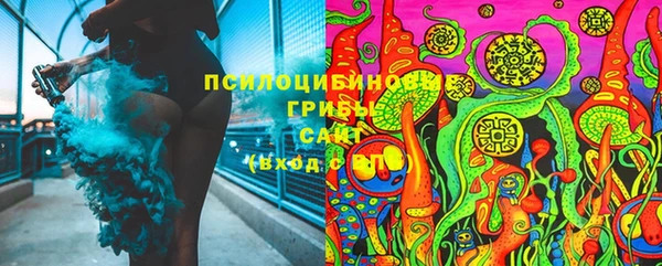 твердый Белокуриха