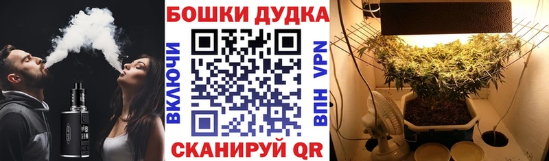 Канабис ГИДРОПОН  МЕГА ТОР  Беслан 